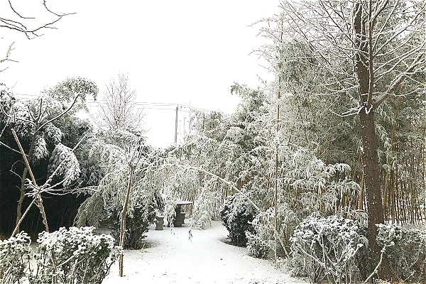 雪景 李沙_meitu_9.jpg