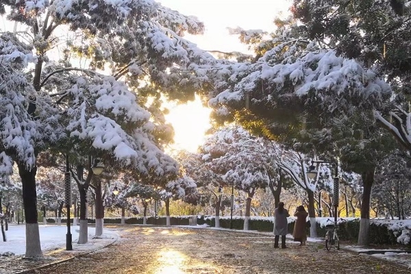 雪后美景 王保华.jpg